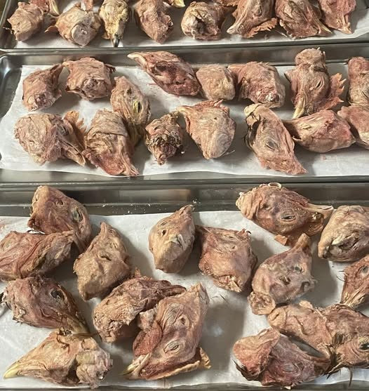 Heads - Chicken