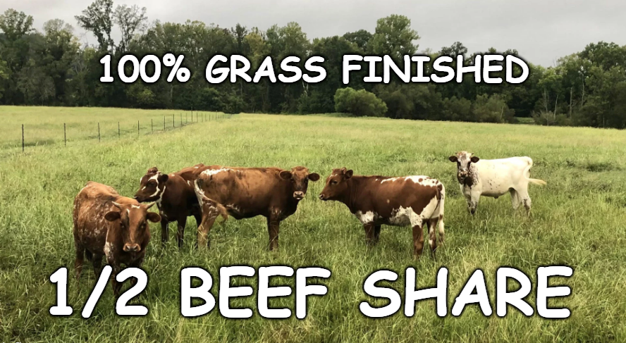 Grass Fed/Finished Beef Share - Half