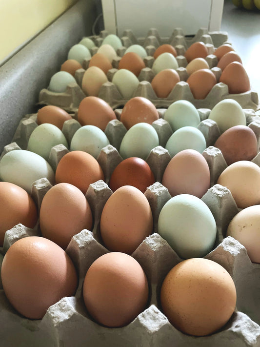 Pasture Raised Eggs - Corn and Soy Free